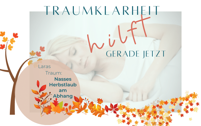 Nasses Herbstlaub am Aufstieg